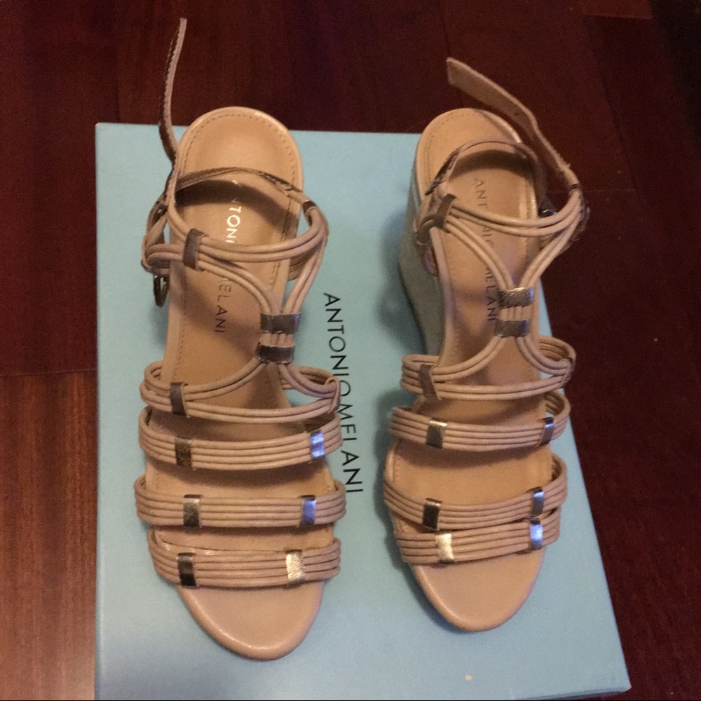Antonio Melani Wedge Heel Sandal